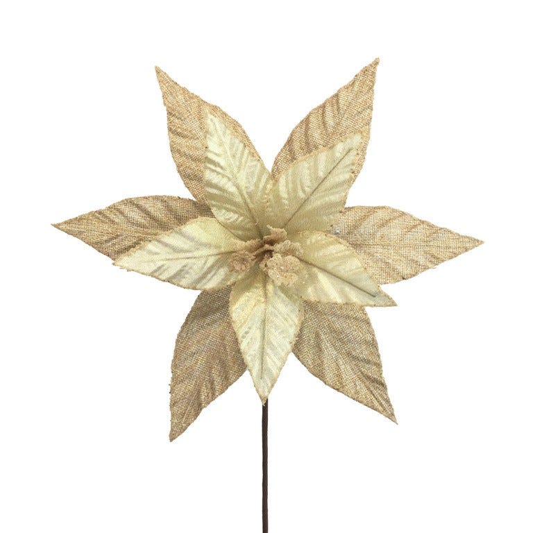PONSETIA 30X30CM 11P NATURAL